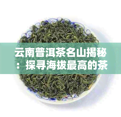 云南普洱茶名山揭秘：探寻海拔更高的茶山高峰