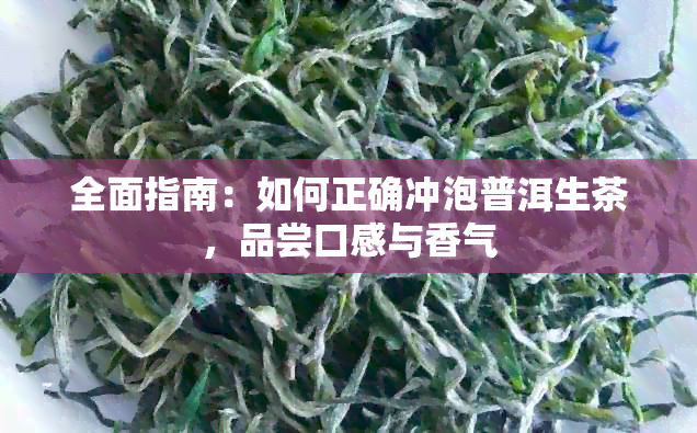 全面指南：如何正确冲泡普洱生茶，品尝口感与香气