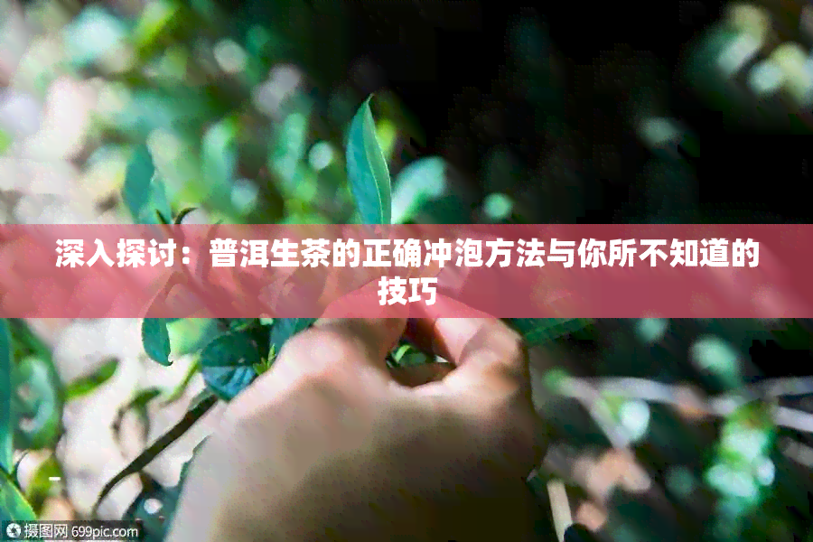 深入探讨：普洱生茶的正确冲泡方法与你所不知道的技巧