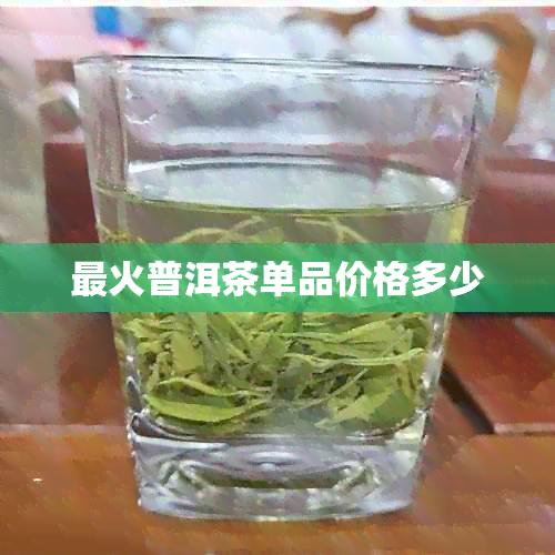 最火普洱茶单品价格多少