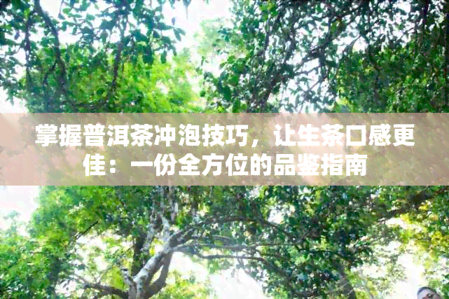 掌握普洱茶冲泡技巧，让生茶口感更佳：一份全方位的品鉴指南