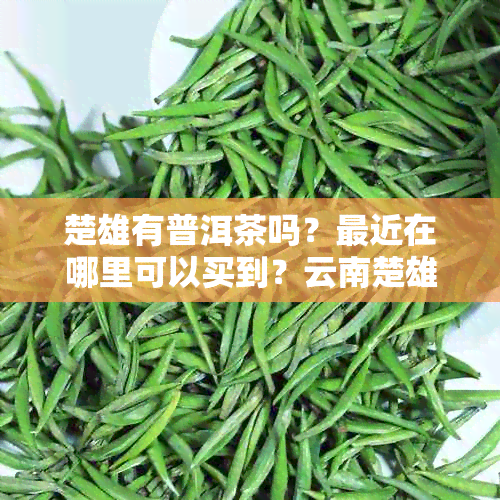 楚雄有普洱茶吗？最近在哪里可以买到？云南楚雄普洱茶品质如何？