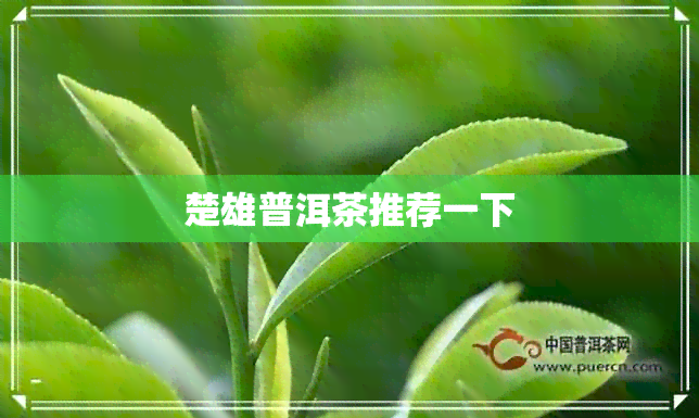 楚雄普洱茶推荐一下