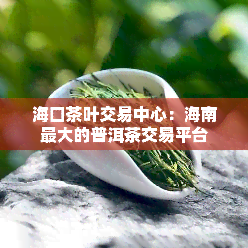 海口茶叶交易中心：海南更大的普洱茶交易平台