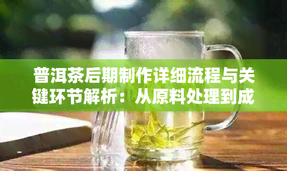 普洱茶后期制作详细流程与关键环节解析：从原料处理到成品包装全过程