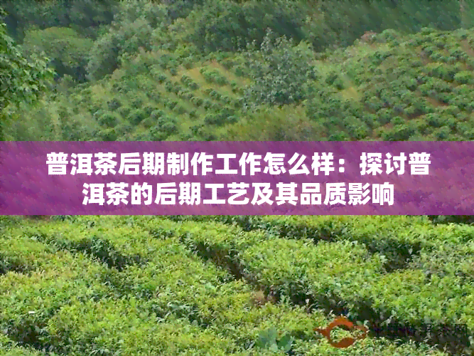 普洱茶后期制作工作怎么样：探讨普洱茶的后期工艺及其品质影响