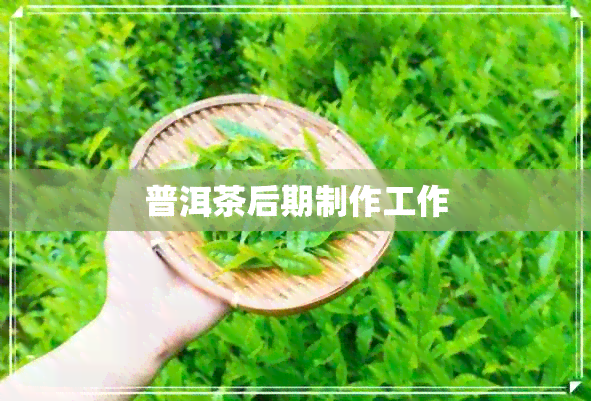 普洱茶后期制作工作