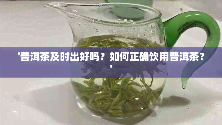 '普洱茶及时出好吗？如何正确饮用普洱茶？'