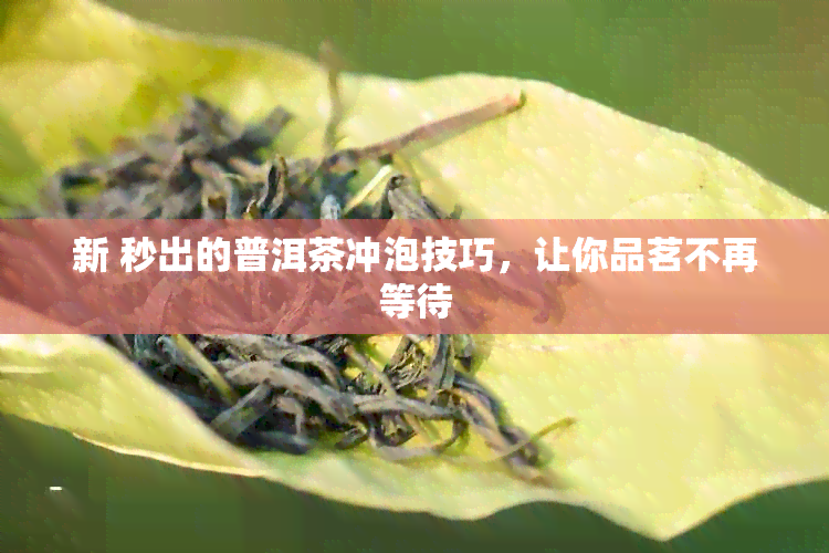 新 秒出的普洱茶冲泡技巧，让你品茗不再等待