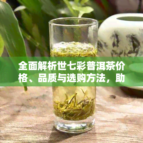 全面解析世七彩普洱茶价格、品质与选购方法，助您轻松成为普洱茶专家