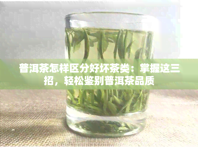 普洱茶怎样区分好坏茶类：掌握这三招，轻松鉴别普洱茶品质