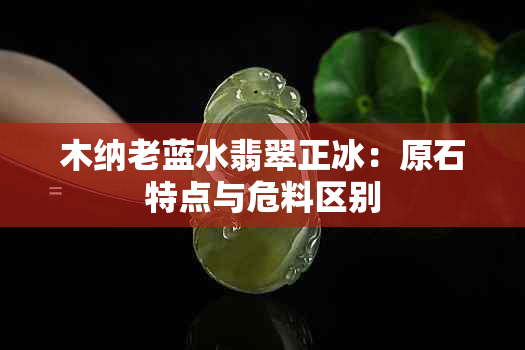 木纳老蓝水翡翠正冰：原石特点与危料区别