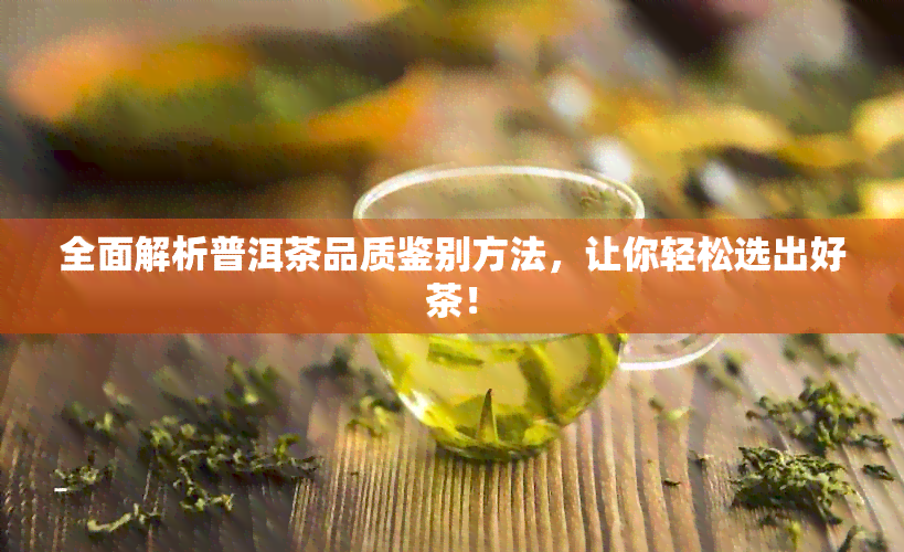 全面解析普洱茶品质鉴别方法，让你轻松选出好茶！