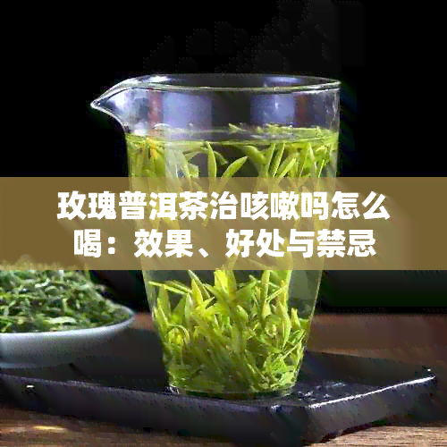 玫瑰普洱茶治咳嗽吗怎么喝：效果、好处与禁忌