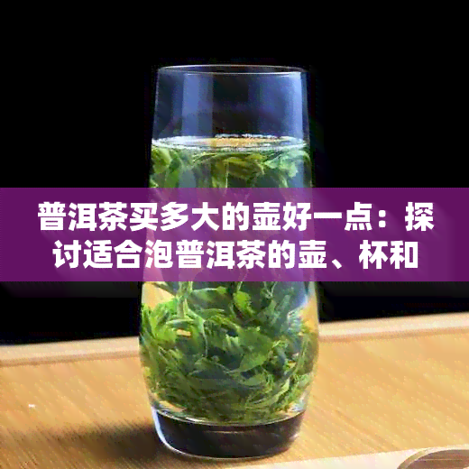 普洱茶买多大的壶好一点：探讨适合泡普洱茶的壶、杯和碗大小