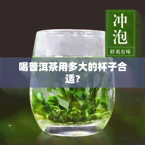 喝普洱茶用多大的杯子合适？