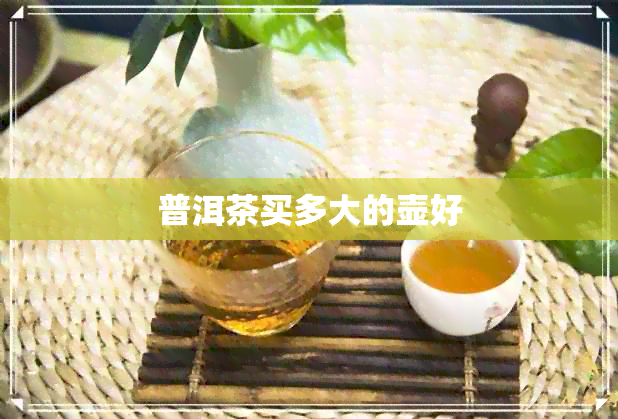 普洱茶买多大的壶好