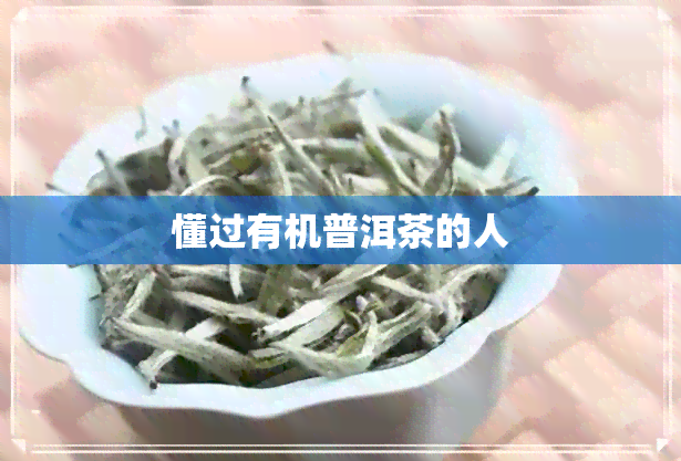 懂过有机普洱茶的人