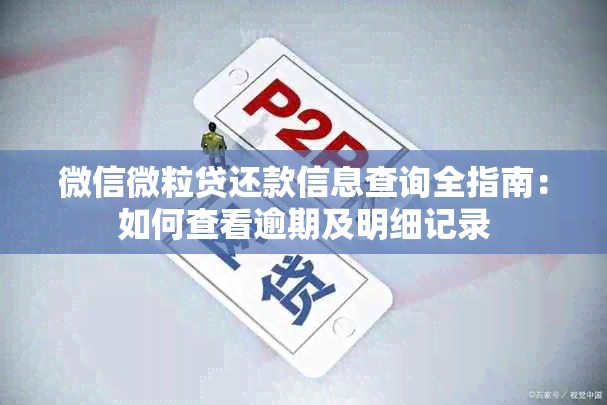 微信微粒贷还款信息查询全指南：如何查看逾期及明细记录