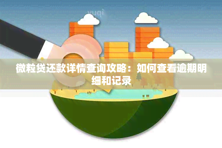 微粒贷还款详情查询攻略：如何查看逾期明细和记录