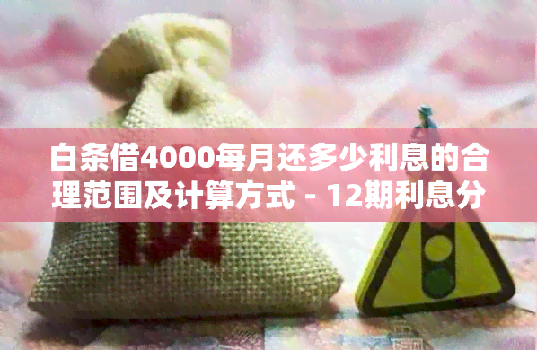 白条借4000每月还多少利息的合理范围及计算方式 - 12期利息分析