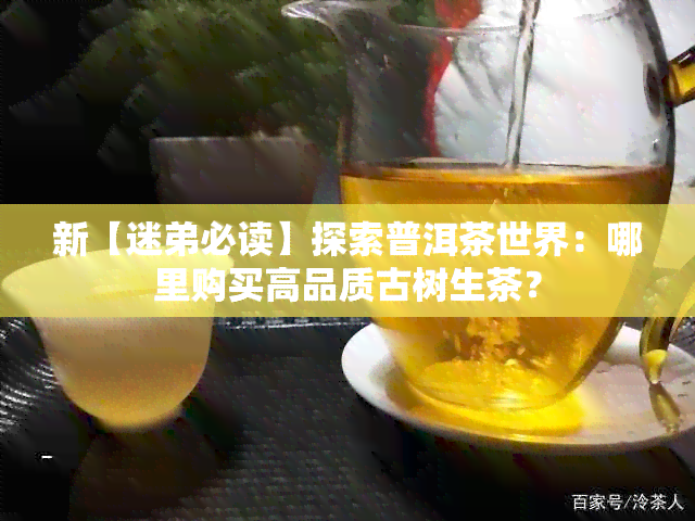 新【迷弟必读】探索普洱茶世界：哪里购买高品质古树生茶？