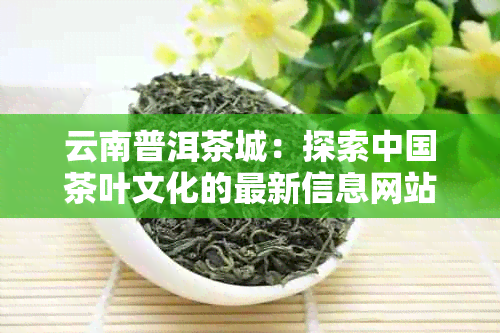 云南普洱茶城：探索中国茶叶文化的最新信息网站