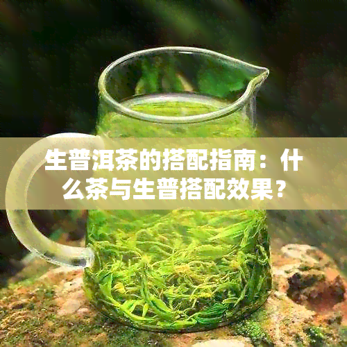 生普洱茶的搭配指南：什么茶与生普搭配效果？