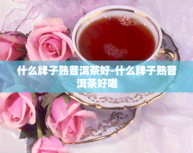 什么牌子熟普洱茶好-什么牌子熟普洱茶好喝