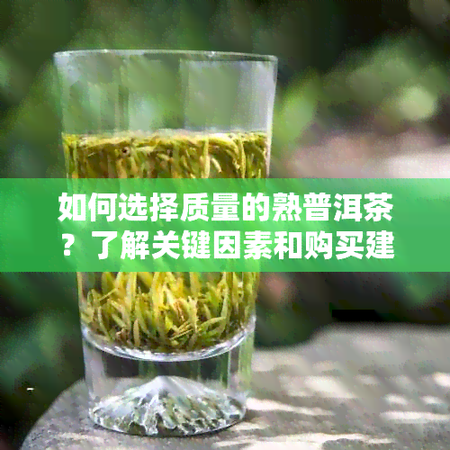 如何选择质量的熟普洱茶？了解关键因素和购买建议