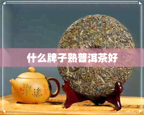 什么牌子熟普洱茶好