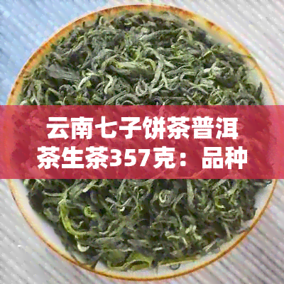 云南七子饼茶普洱茶生茶357克：品种、产地、制作工艺、口感与价格全解析