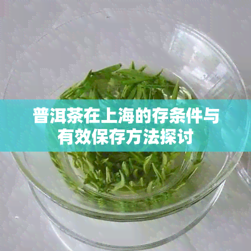 普洱茶在上海的存条件与有效保存方法探讨