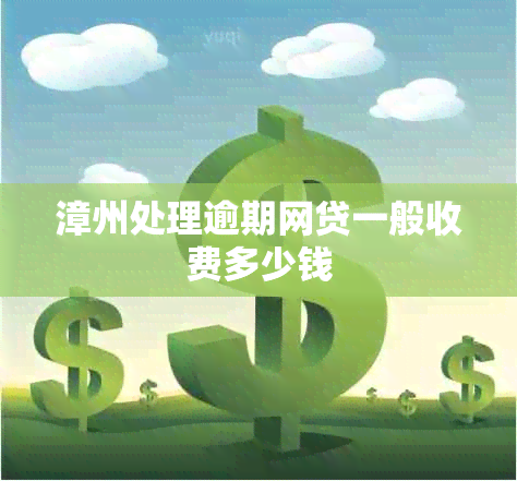 漳州处理逾期网贷一般收费多少钱