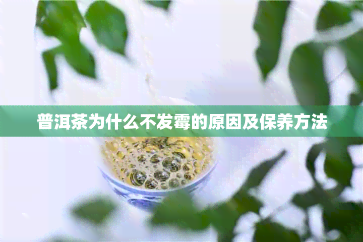 普洱茶为什么不发霉的原因及保养方法