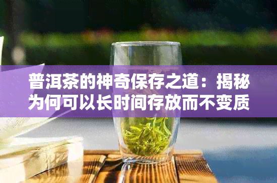 普洱茶的神奇保存之道：揭秘为何可以长时间存放而不变质