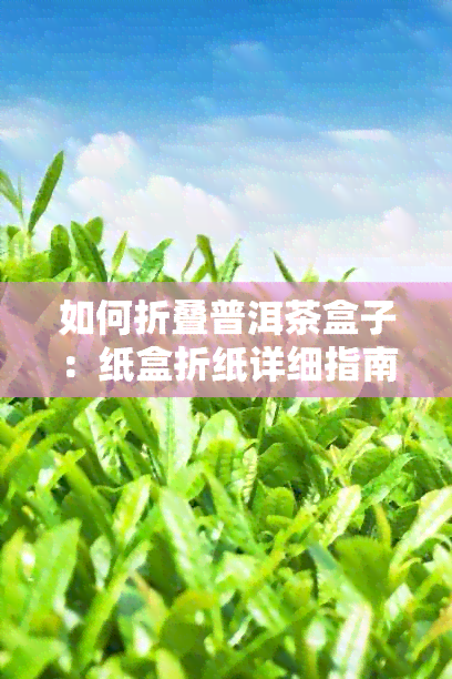 如何折叠普洱茶盒子：纸盒折纸详细指南