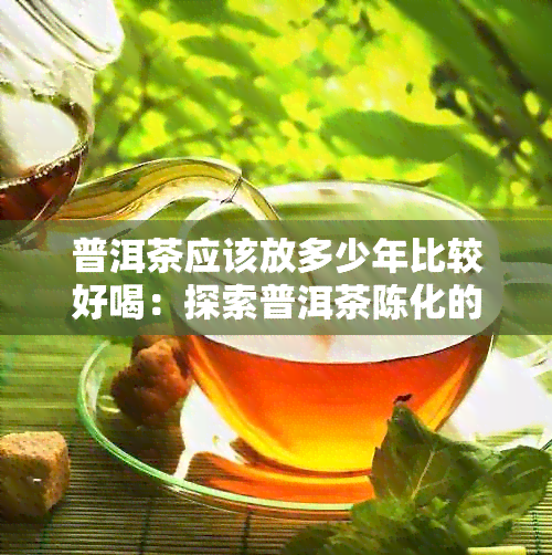 普洱茶应该放多少年比较好喝：探索普洱茶陈化的秘密