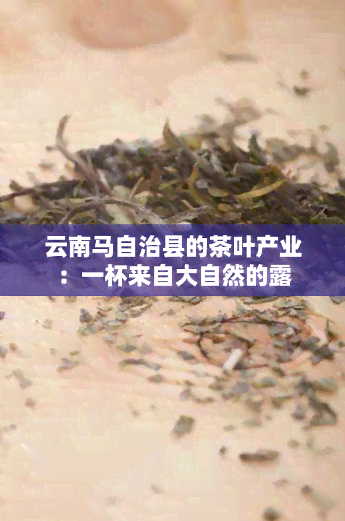 云南马自治县的茶叶产业：一杯来自大自然的露