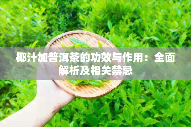 椰汁加普洱茶的功效与作用：全面解析及相关禁忌