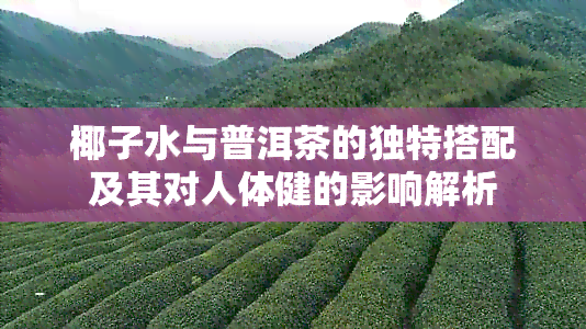 椰子水与普洱茶的独特搭配及其对人体健的影响解析