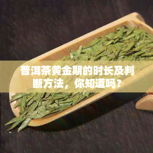 普洱茶黄金期的时长及判断方法，你知道吗？