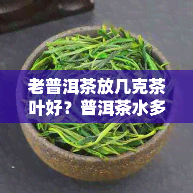 老普洱茶放几克茶叶好？普洱茶水多少钱一斤？