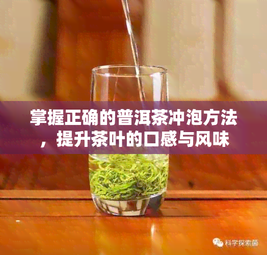 掌握正确的普洱茶冲泡方法，提升茶叶的口感与风味