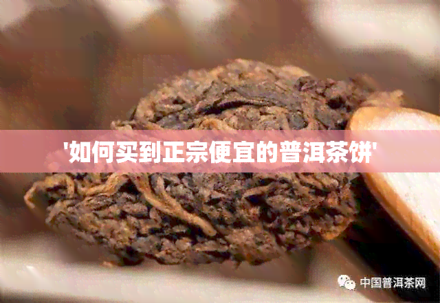 '如何买到正宗便宜的普洱茶饼'