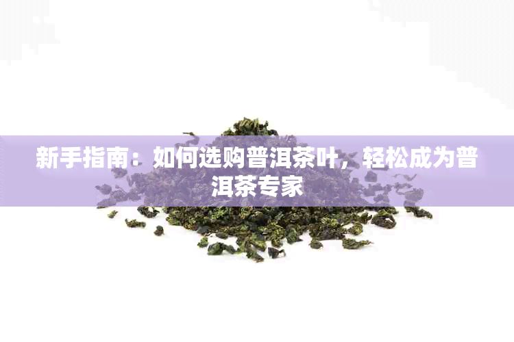 新手指南：如何选购普洱茶叶，轻松成为普洱茶专家