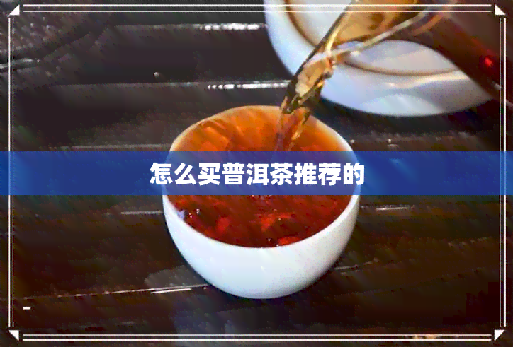 怎么买普洱茶推荐的