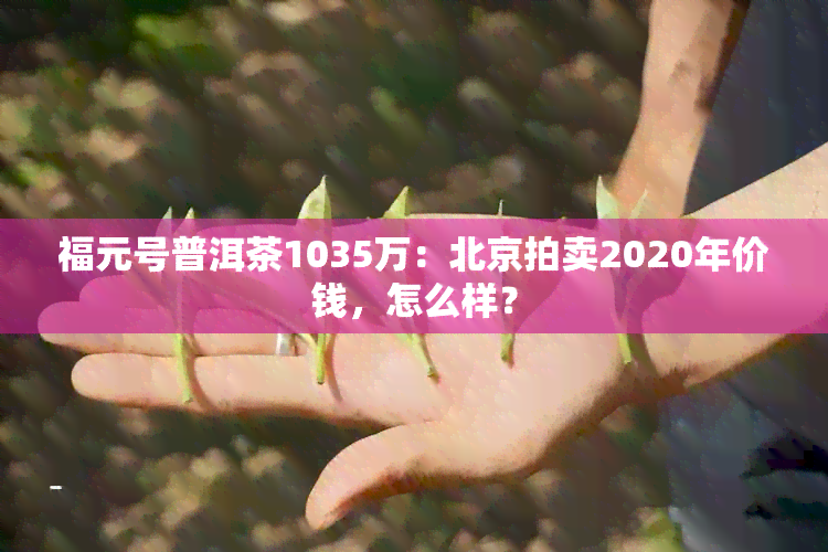 福元号普洱茶1035万：北京拍卖2020年价钱，怎么样？