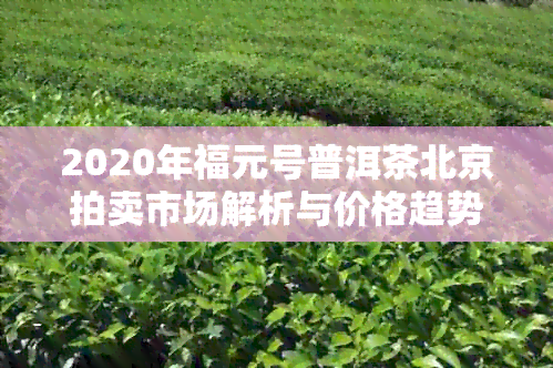 2020年福元号普洱茶北京拍卖市场解析与价格趋势