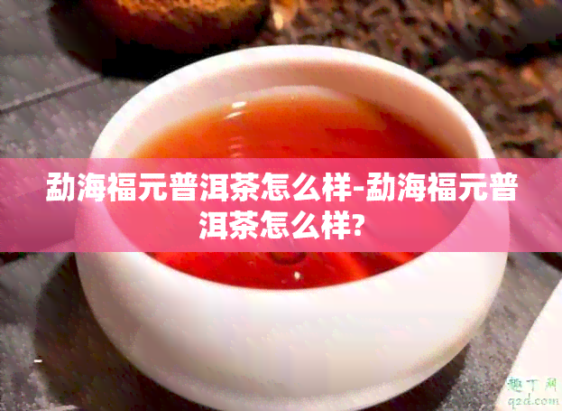 勐海福元普洱茶怎么样-勐海福元普洱茶怎么样?